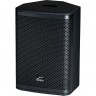 Активная акустическая система SOLTON MF 300 AL 80693